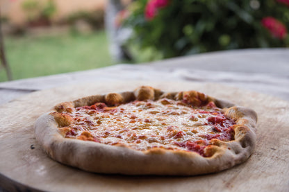 Fontana - Ischia Wood Burning Build In Pizza Oven