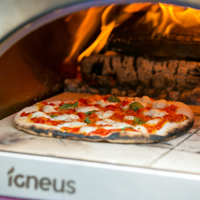 Igneus Classico Wood Fired Pizza Oven